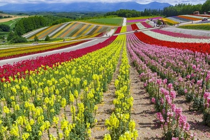 Experience Hokkaidos Summer, Furano, Blue Pond & All-you-can-eat Fresh Melon! - Inclusions