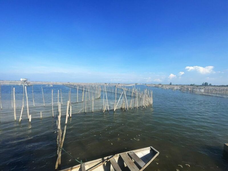 Experience Hue: Sunset at Tam Giang Lagoon - Boat Ride on Tam Giang Lagoon