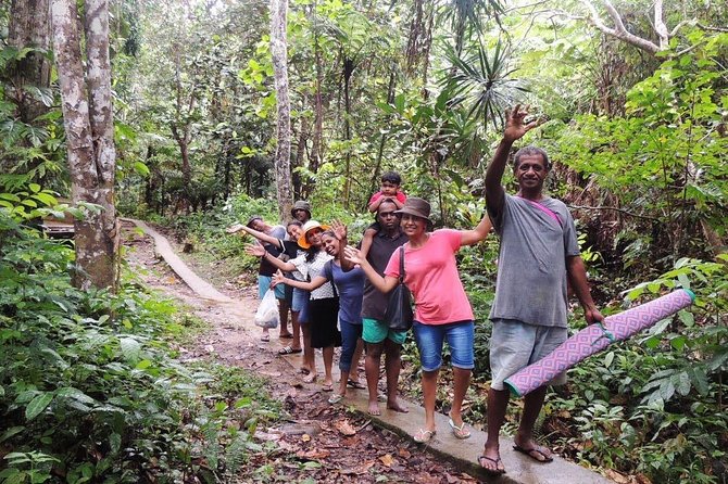 Experience Huge Waterfall, Historical Fijian Handicraft Village & Coastal City - Historic and Religious Sites