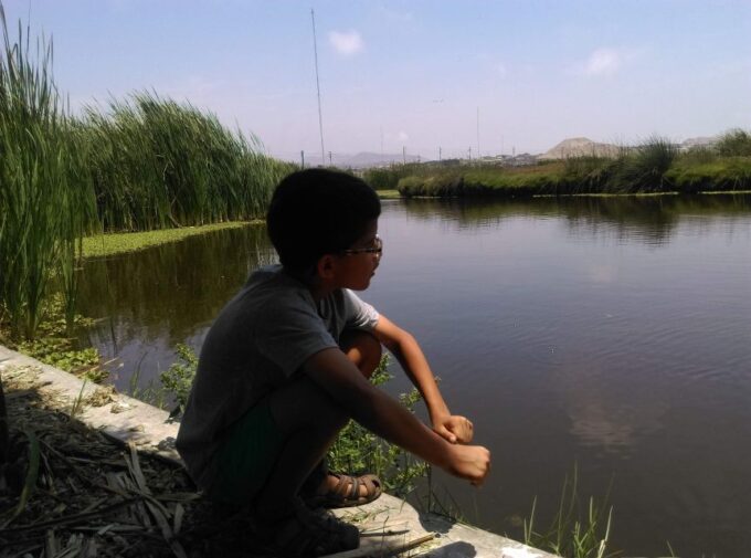Experience in Pachacamac and Pantanos De Villa - Recommendations for Participants