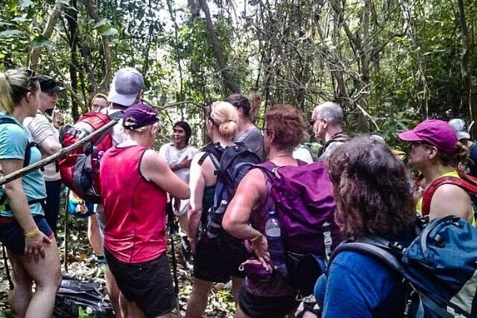 Experience in Tayrona Park With Kogis and Its Beaches for 1 Day. - Key Points