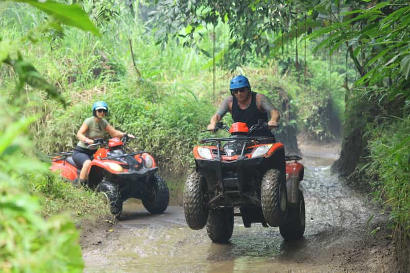Experience in Ubud: ATV Ride, Bali Swing, and Infinity Pool - Itinerary Details