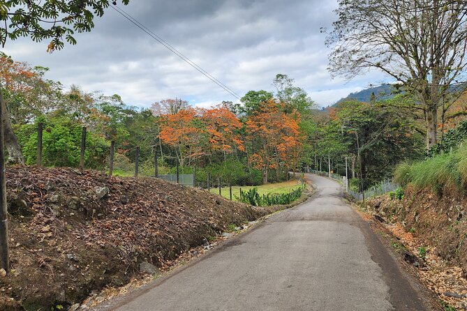 Experience Irazú Volcano National Park From San José - Half Day - Recap