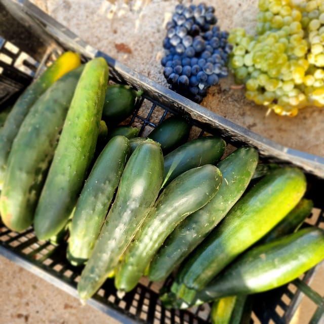 Experience Island Brac With Cooking Class on a Local Farm - Highlights of the Activity