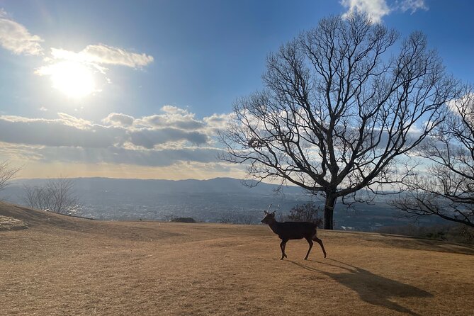 Experience Kyoto: A Full-Day Private Tour Adventure - Meeting and Pickup Details