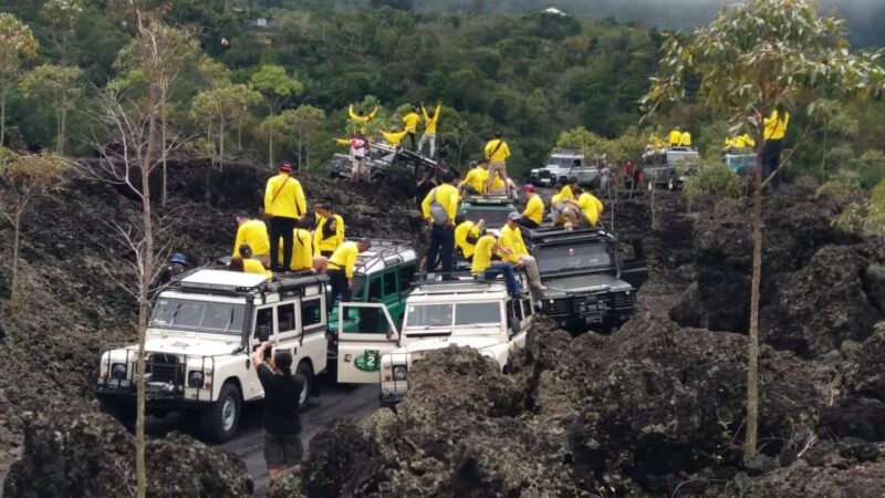 Experience Land Rover Jeep Tour Kintamani & Ubud Swing - Inclusions
