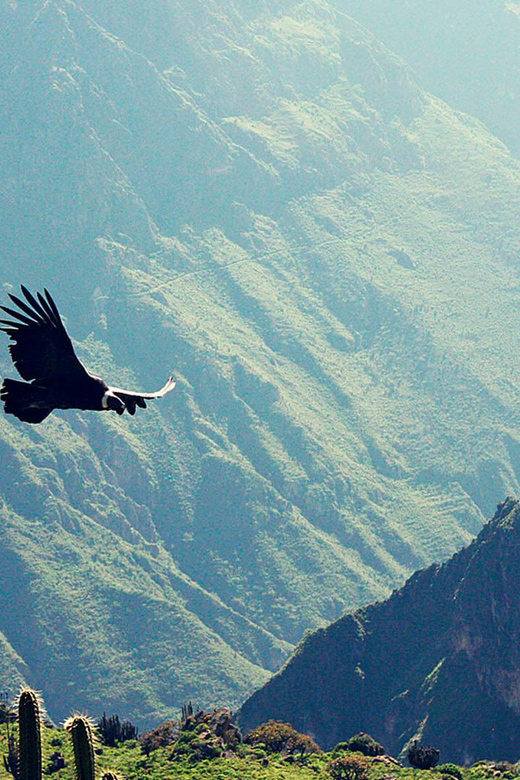 Experience: Lima Colca Canyon and Machu Picchu Tour - Accommodation Details