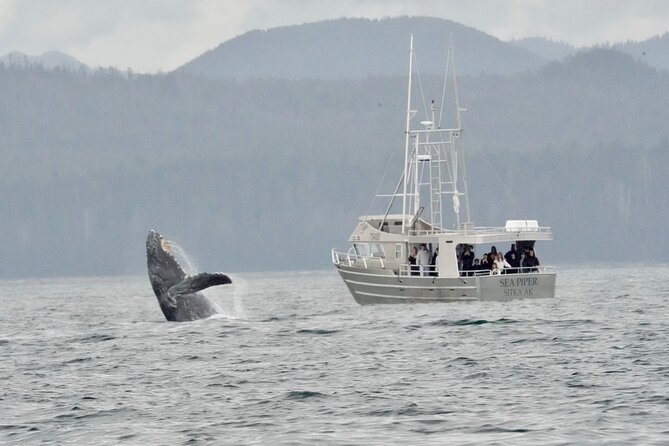 Experience Local Marine Wildlife Tour - Schedule