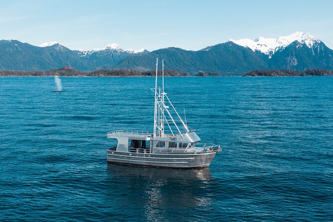 Experience Local Marine Wildlife Tour - Booking and Cancellation