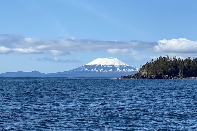 Experience Local Marine Wildlife Tour - Highlights of the Tour