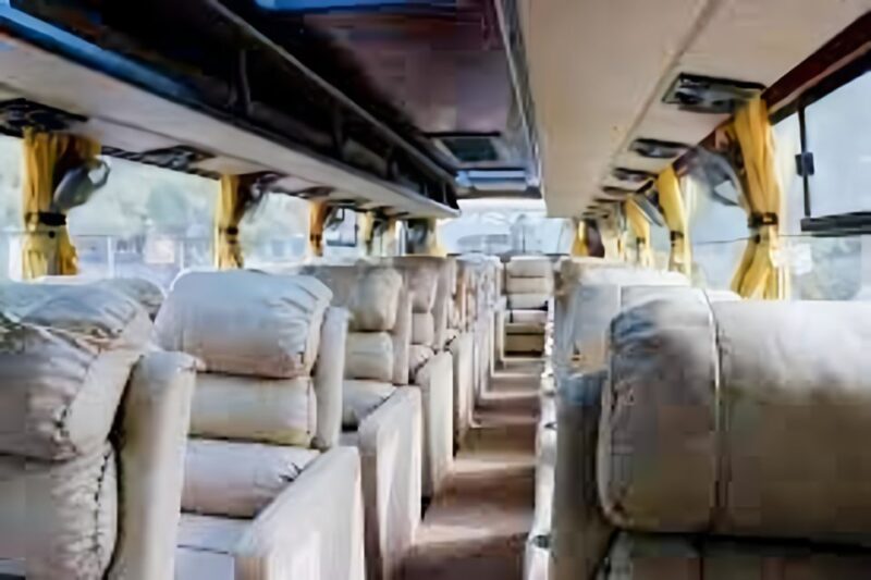 Experience Luxury Travel: Kathmandu to Pokhara by Sofa Bus - Professional and Courteous Staff