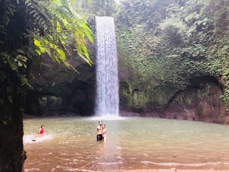 Experience Majestic Bali Views, Temple Swims and Waterfalls - Customer Feedback