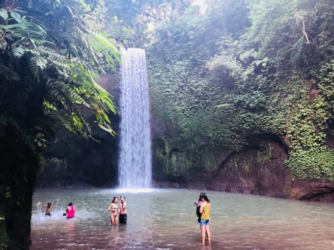 Experience Majestic Bali Views, Temple Swims and Waterfalls - Tirta Gangga Water Temple and Swims