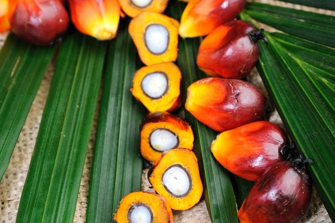 Experience Malaysia: Authentic Malaysia Cooking Tour - Exploring the Local Food Market