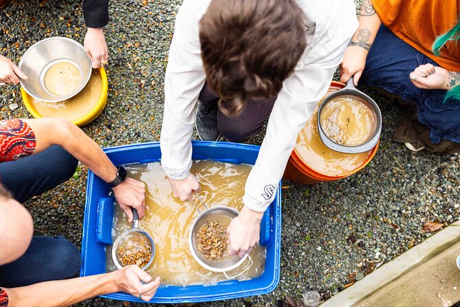 Experience Mining For Genuine Montana Sapphires in Seattle - Meeting Point and Accessibility