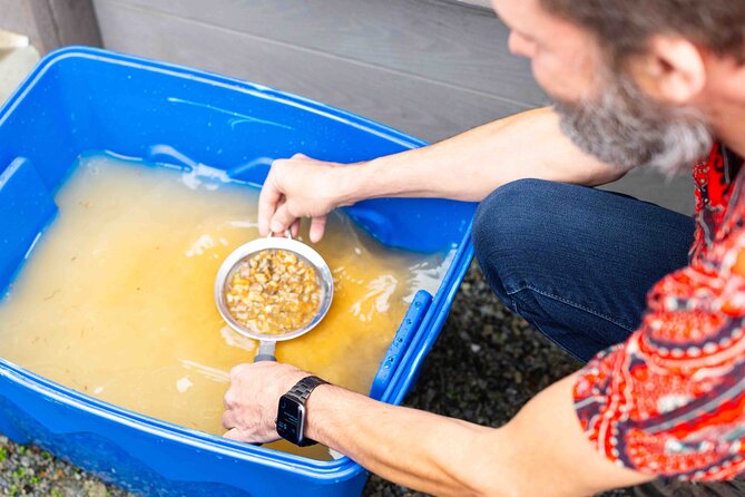 Experience Mining For Genuine Montana Sapphires in Seattle - Operating Hours and Availability