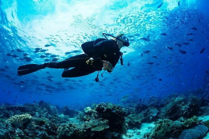 Experience Nha Trang Scuba Diving with Certified Dive - Key Points