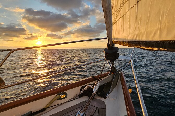 Experience Oceanside Sailing With Whales and Dolphins! - Key Points