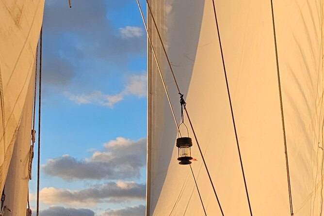 Experience Oceanside Sailing With Whales and Dolphins! - Location and Meeting Point
