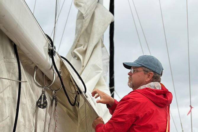 Experience Oceanside Sailing With Whales and Dolphins! - Cancellation and Confirmation