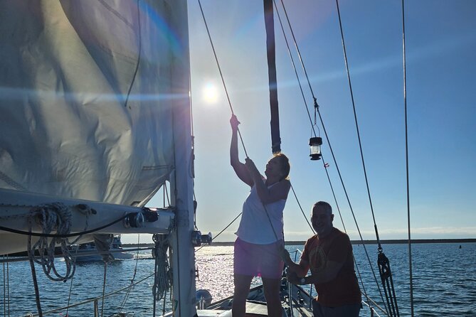 Experience Oceanside Sailing With Whales and Dolphins! - Accessibility Considerations
