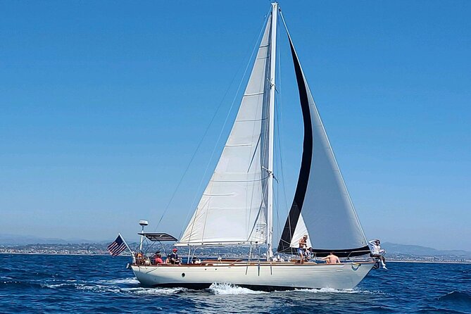 Experience Oceanside Sailing With Whales and Dolphins! - Guest Reviews and Feedback