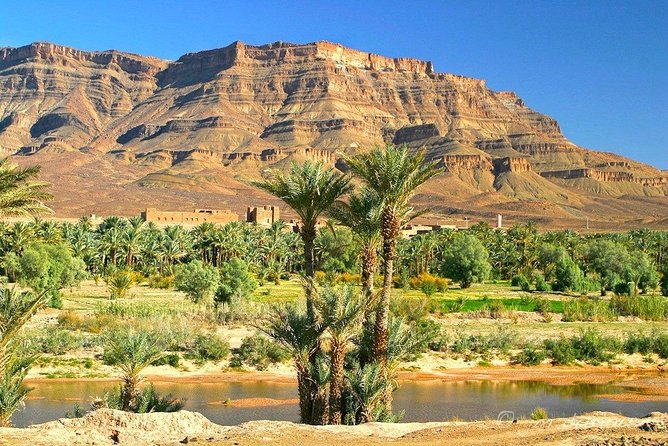 Experience of the Desert of Zagora in 2 Days - Tour Provider and Rating