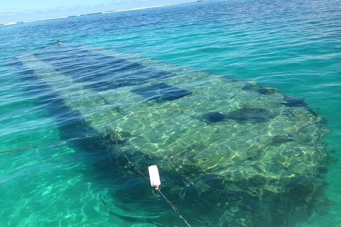 Experience on a Boat off the Beaten Path in the Most Beautiful Lagoon of Guadeloupe - Complimentary Cocktails in Shallow Waters