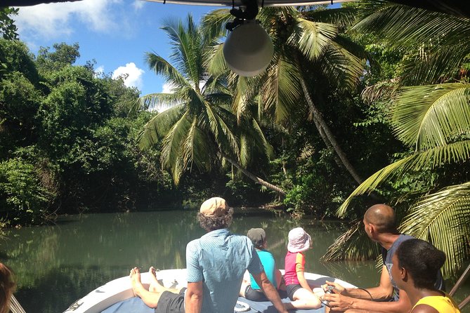 Experience on a Boat off the Beaten Path in the Most Beautiful Lagoon of Guadeloupe - Snorkeling Equipment and Alcoholic Beverages Included