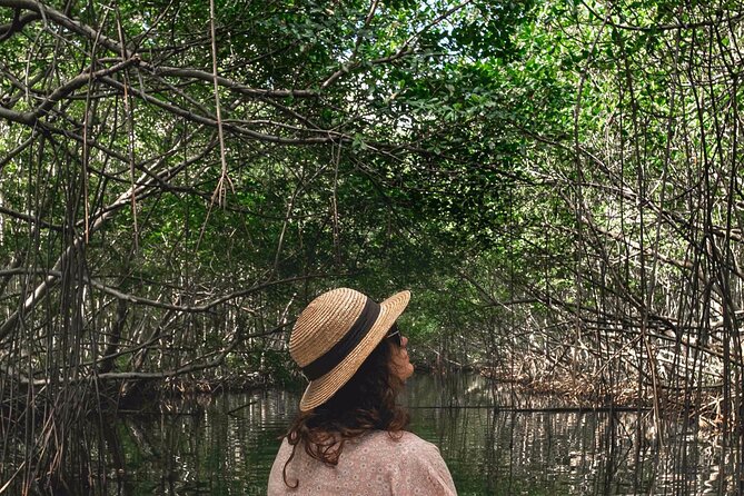 Experience on a Boat off the Beaten Path in the Most Beautiful Lagoon of Guadeloupe - Convenient Meeting Point and Return Location