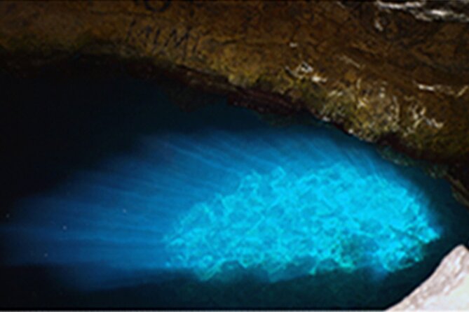Experience on Sal Island With Native and Certified Guide (Including Sharks) - Pickup Details and Locations