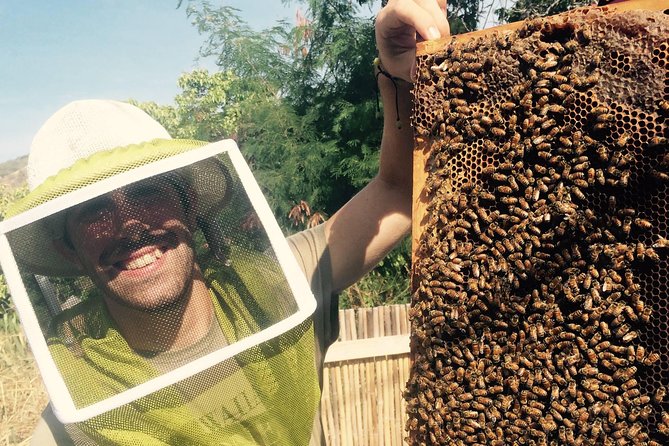 Experience Our Honey Farm And Beekeeping Tour - Meet the Beekeepers