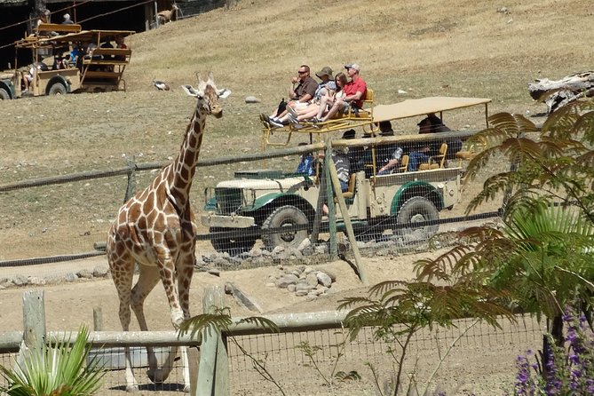 Experience Our Redwoods and Wild Safari Outdoor Adventure - Inclusions and Exclusions