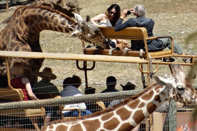Experience Our Redwoods and Wild Safari Outdoor Adventure - Booking and Confirmation