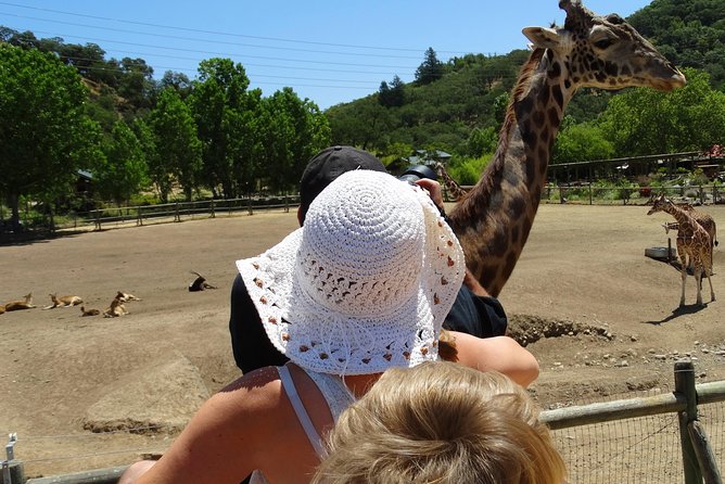 Experience Our Redwoods and Wild Safari Outdoor Adventure - Safari Adventure