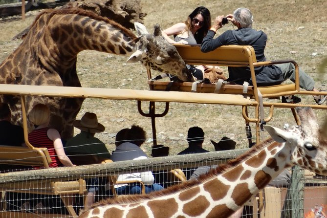 Experience Our Redwoods and Wild Safari Outdoor Adventure - Unforgettable Experiences