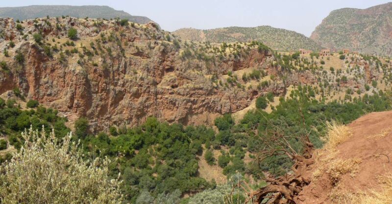 Experience Ouzoud Waterfalls & Its Region - Natural Beauty of the Surroundings