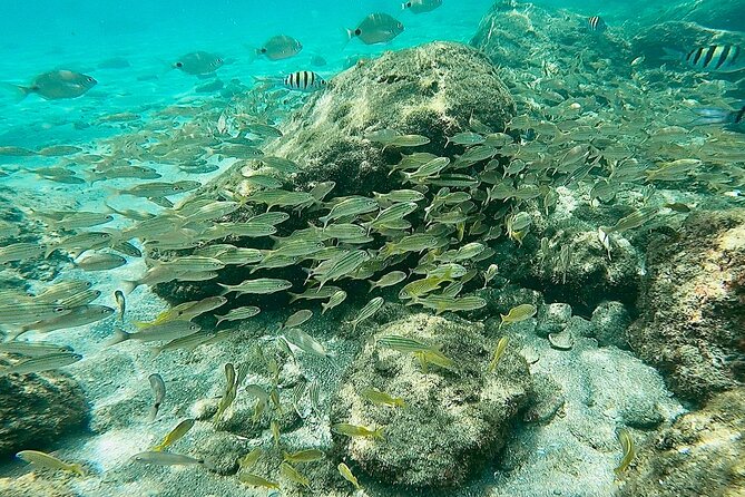 Experience Peanut Island Adventures - Meeting and Pickup Details