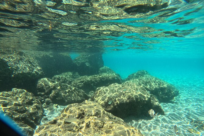 Experience Peanut Island Adventures - Snorkeling and Marine Life Encounters