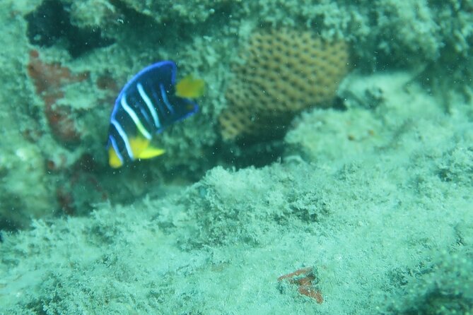 Experience Peanut Island Adventures - Plan Your Peanut Island Adventure