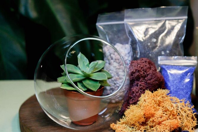 Experience Rainforest Terrarium Workshop in Yishun - Terrarium Design Options