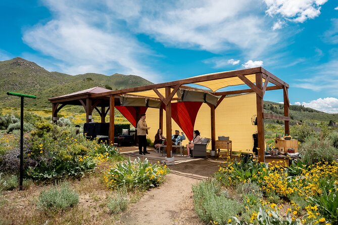 Experience Raptors and Falconry in Reno - Accessibility and Participation