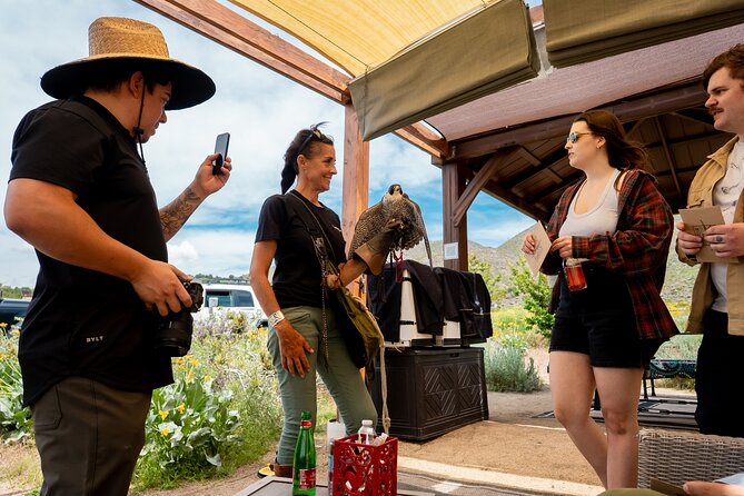 Experience Raptors and Falconry in Reno - A Unique and Unforgettable Bucket-list Item