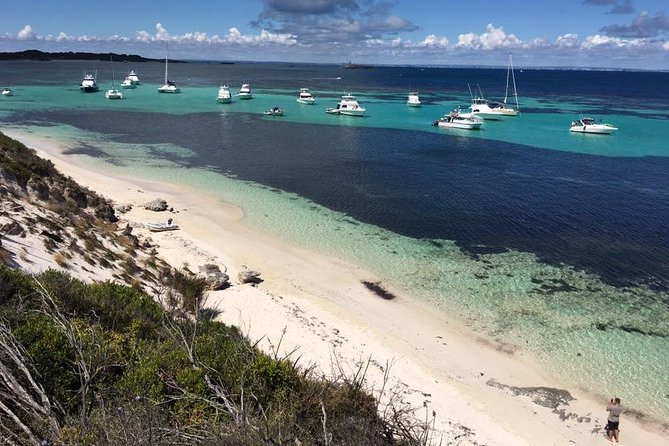 Experience Rottnest With Ferry & Bike Hire - Activities and Experiences