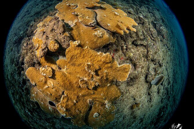 Experience Scuba - Practical Details