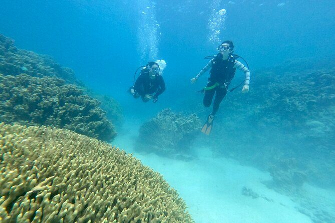 Experience Scuba Diving - No Certification Needed! - Final Thoughts: Is It Worth It?