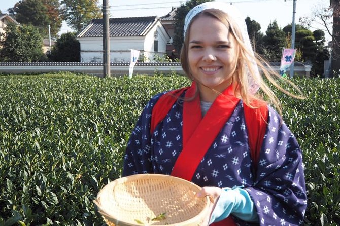 Experience Seasonal Green Tea Picking in Sayama and Nostalgic Walk in Kawagoe! - Meeting and Pickup Details