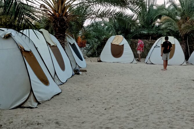 Experience Siwa in 2 Days 1 Night - Pickup and Transportation