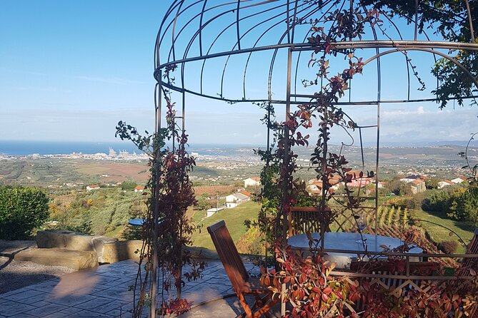 Experience Slovenian Coast Line With Wine Tasting From Trieste - Itinerary Details and Highlights