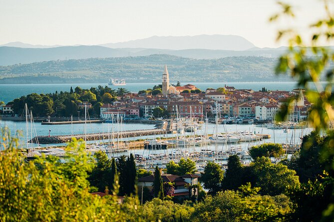 Experience Slovenian Coast Line With Wine Tasting From Trieste - Pricing, Policies, and Value Proposition